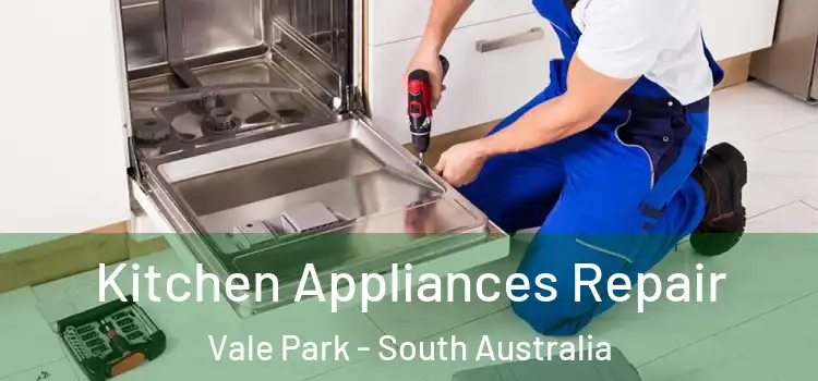 Kitchen Appliances Repair Vale Park - South Australia