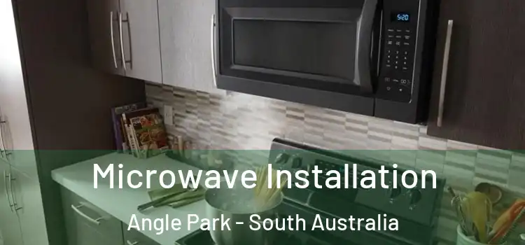 Microwave Installation Angle Park - South Australia