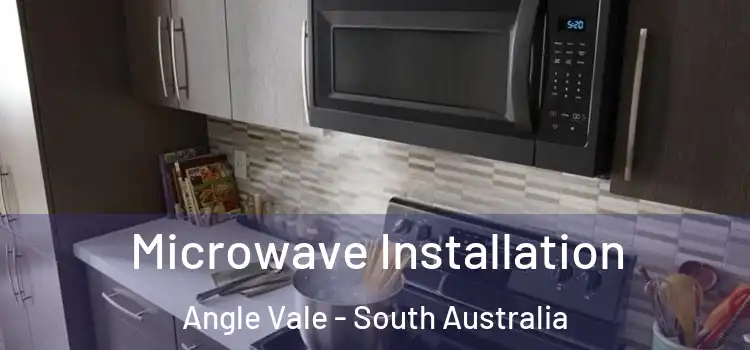 Microwave Installation Angle Vale - South Australia