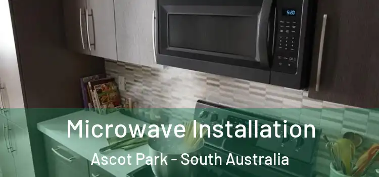Microwave Installation Ascot Park - South Australia
