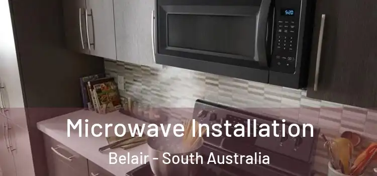 Microwave Installation Belair - South Australia
