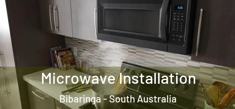 Microwave Installation Bibaringa - South Australia