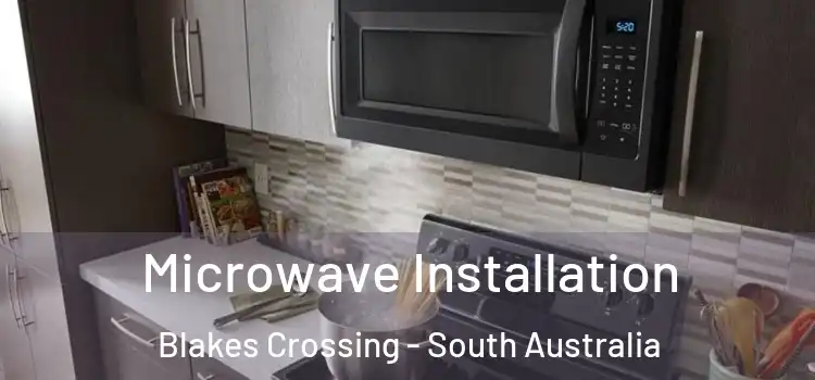 Microwave Installation Blakes Crossing - South Australia
