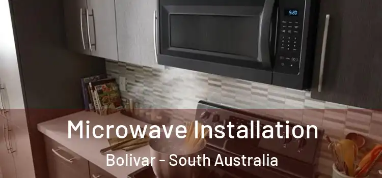 Microwave Installation Bolivar - South Australia