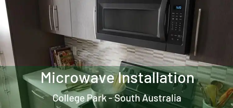 Microwave Installation College Park - South Australia