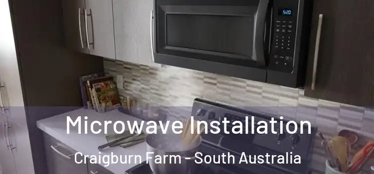 Microwave Installation Craigburn Farm - South Australia