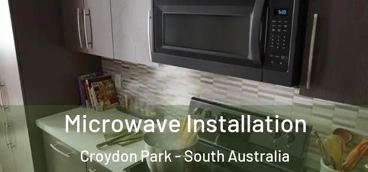Microwave Installation Croydon Park - South Australia