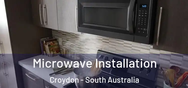 Microwave Installation Croydon - South Australia