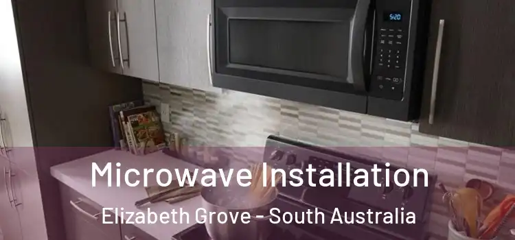 Microwave Installation Elizabeth Grove - South Australia