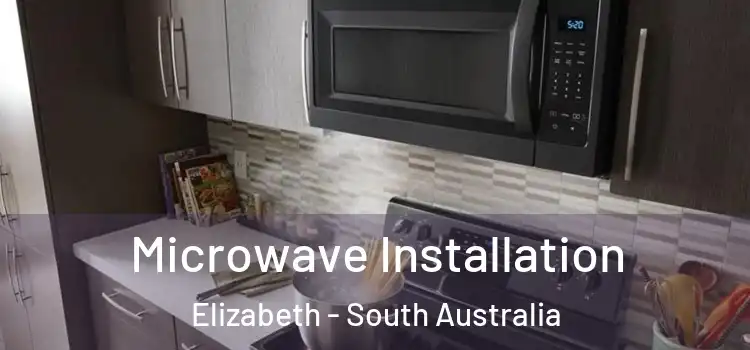 Microwave Installation Elizabeth - South Australia