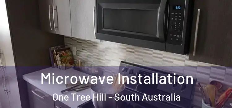 Microwave Installation One Tree Hill - South Australia