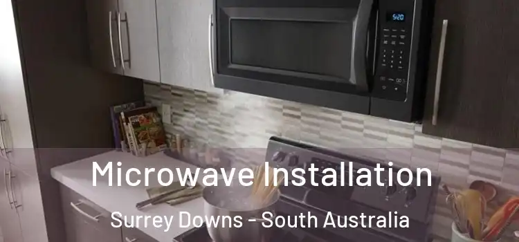 Microwave Installation Surrey Downs - South Australia
