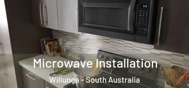 Microwave Installation Willunga - South Australia