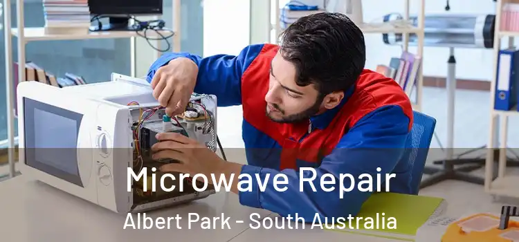Microwave Repair Albert Park - South Australia