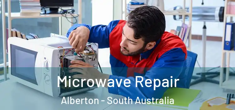 Microwave Repair Alberton - South Australia
