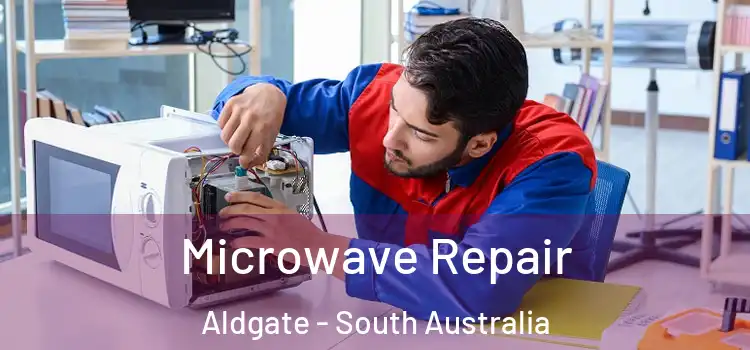 Microwave Repair Aldgate - South Australia