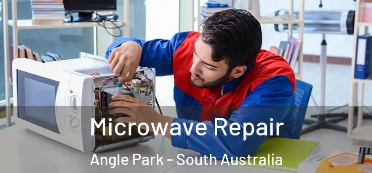 Microwave Repair Angle Park - South Australia