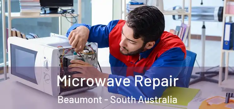 Microwave Repair Beaumont - South Australia