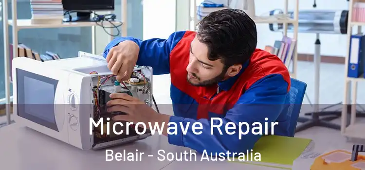Microwave Repair Belair - South Australia