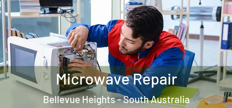 Microwave Repair Bellevue Heights - South Australia