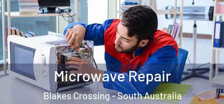 Microwave Repair Blakes Crossing - South Australia