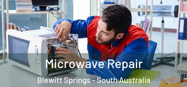 Microwave Repair Blewitt Springs - South Australia
