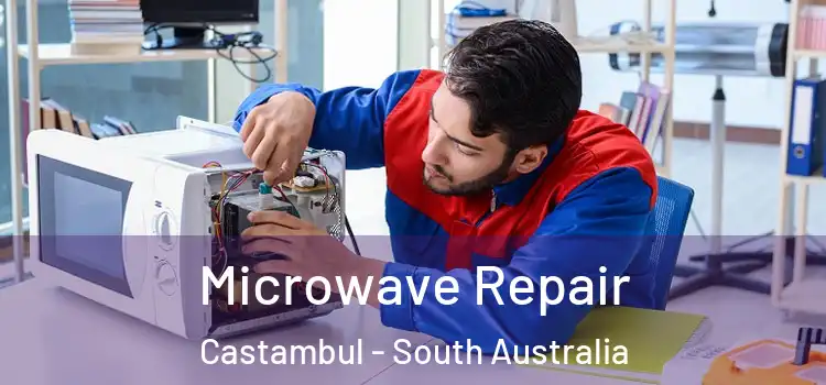 Microwave Repair Castambul - South Australia