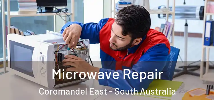 Microwave Repair Coromandel East - South Australia