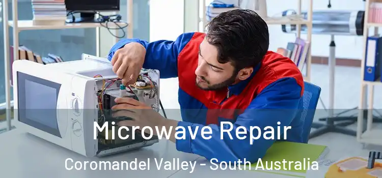 Microwave Repair Coromandel Valley - South Australia