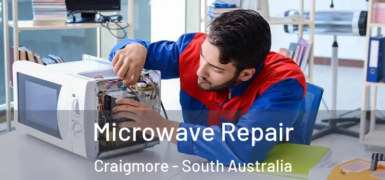 Microwave Repair Craigmore - South Australia