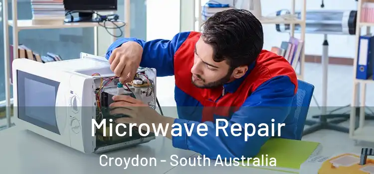 Microwave Repair Croydon - South Australia