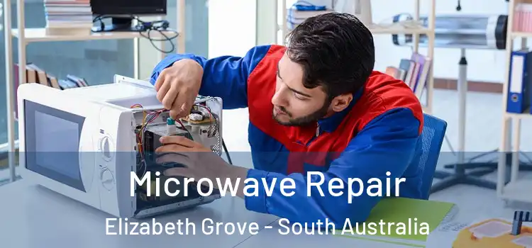 Microwave Repair Elizabeth Grove - South Australia
