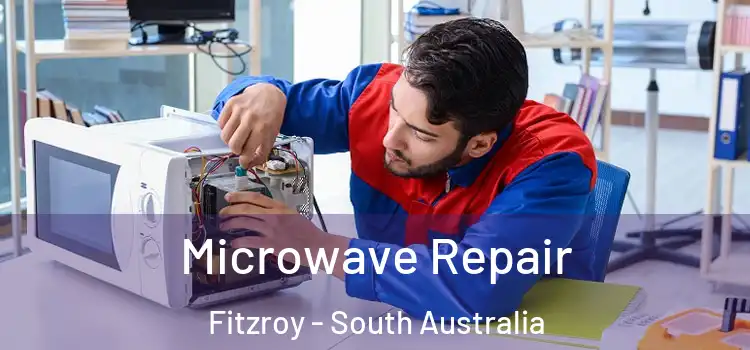Microwave Repair Fitzroy - South Australia