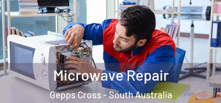 Microwave Repair Gepps Cross - South Australia