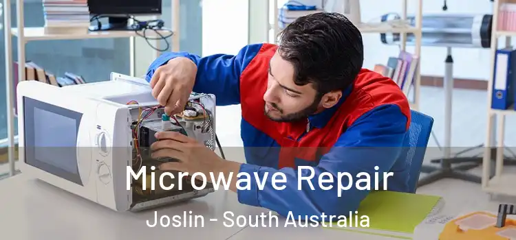 Microwave Repair Joslin - South Australia