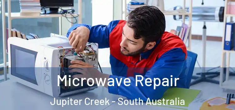 Microwave Repair Jupiter Creek - South Australia