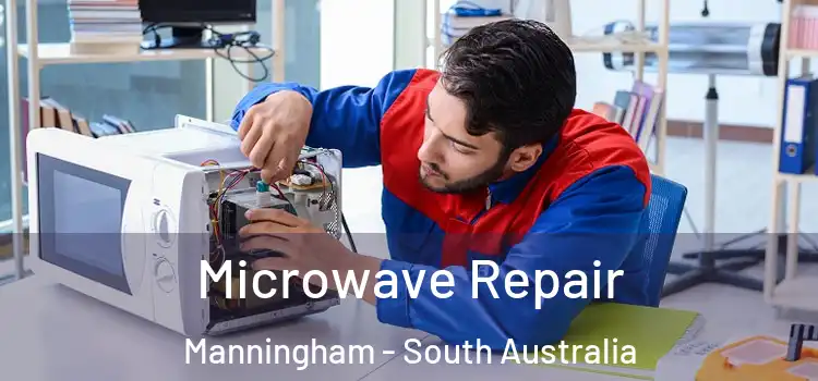 Microwave Repair Manningham - South Australia
