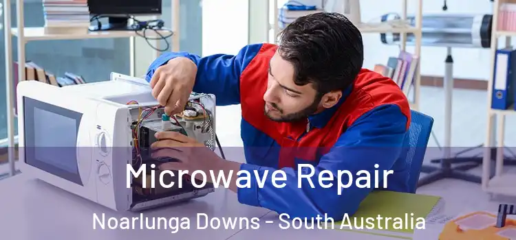 Microwave Repair Noarlunga Downs - South Australia