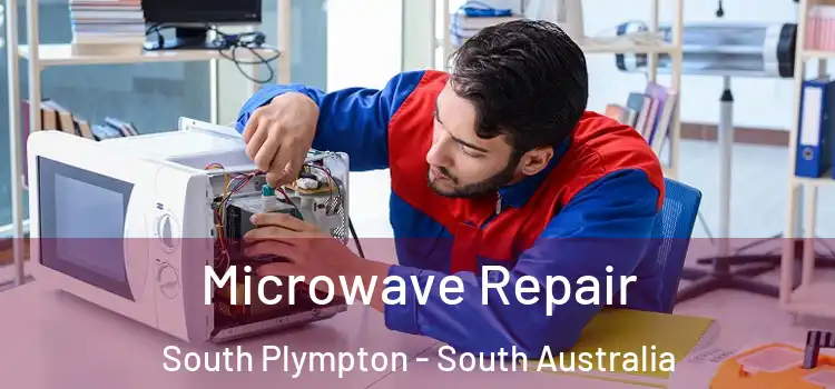 Microwave Repair South Plympton - South Australia