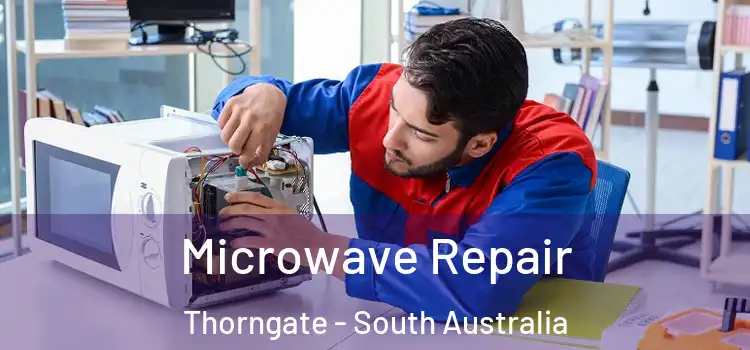 Microwave Repair Thorngate - South Australia