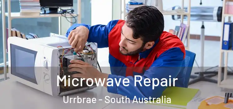 Microwave Repair Urrbrae - South Australia