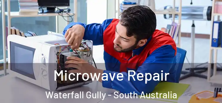 Microwave Repair Waterfall Gully - South Australia