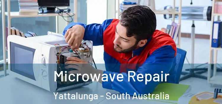 Microwave Repair Yattalunga - South Australia
