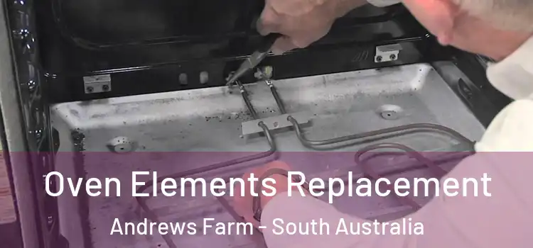 Oven Elements Replacement Andrews Farm - South Australia