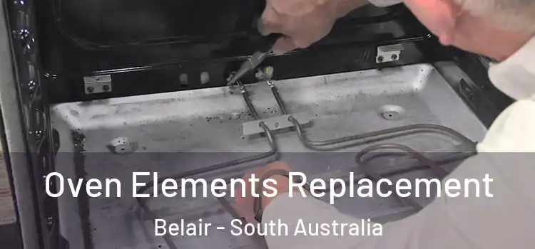 Oven Elements Replacement Belair - South Australia