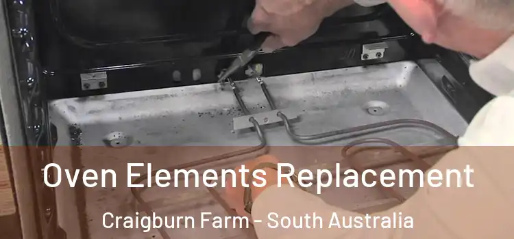 Oven Elements Replacement Craigburn Farm - South Australia