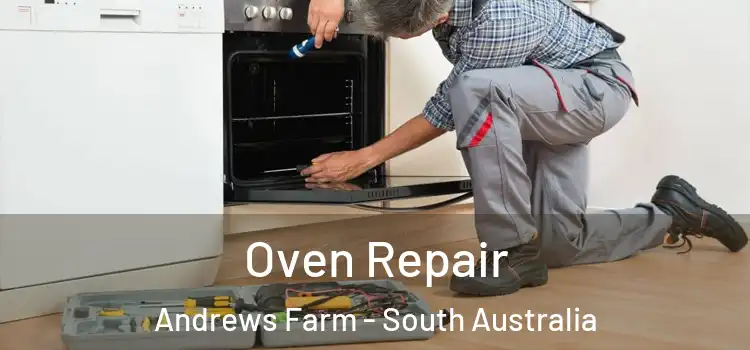 Oven Repair Andrews Farm - South Australia