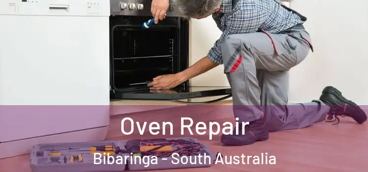 Oven Repair Bibaringa - South Australia