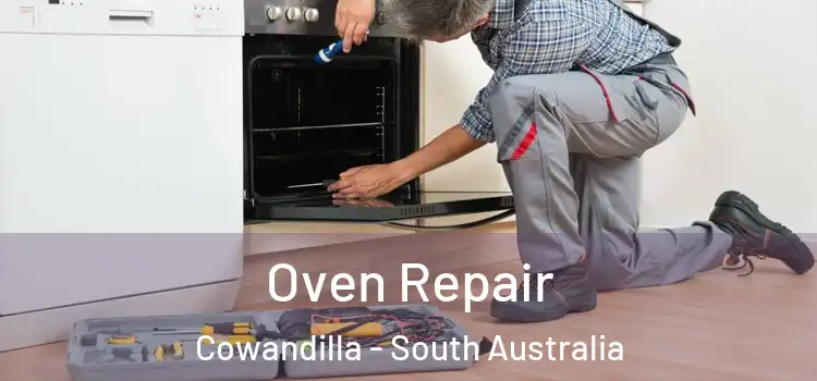 Oven Repair Cowandilla - South Australia
