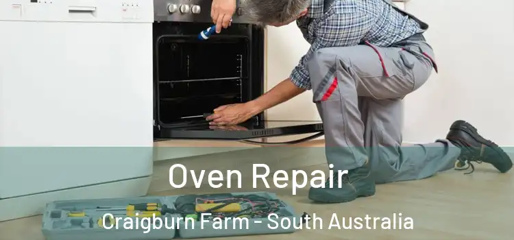 Oven Repair Craigburn Farm - South Australia